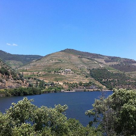 Quinta Da Marka Covas do Douro Zewnętrze zdjęcie