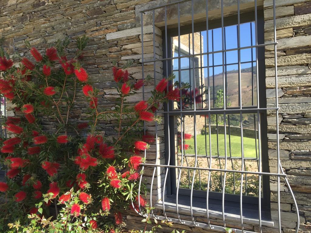 Quinta Da Marka Covas do Douro Zewnętrze zdjęcie