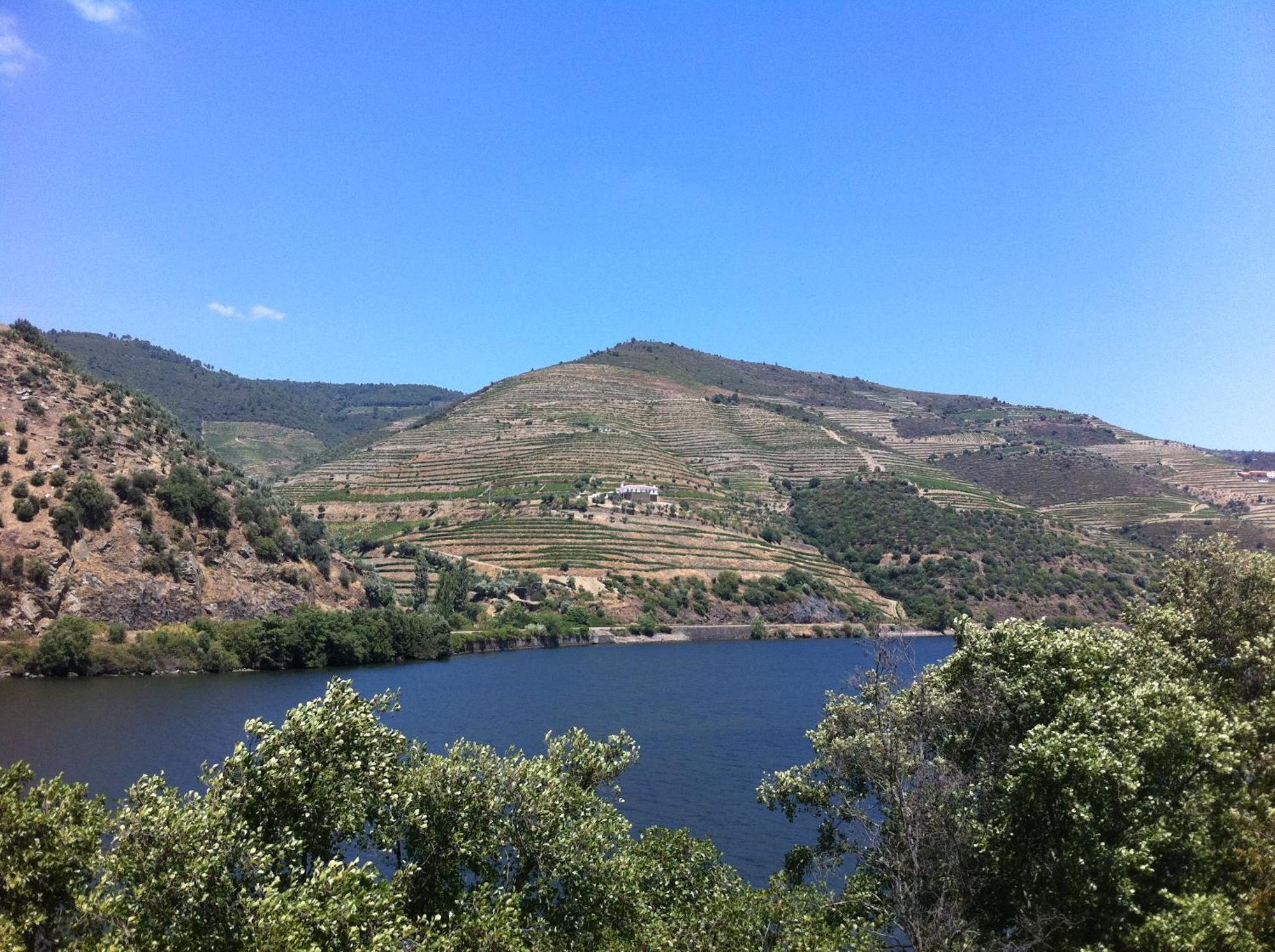 Quinta Da Marka Covas do Douro Zewnętrze zdjęcie