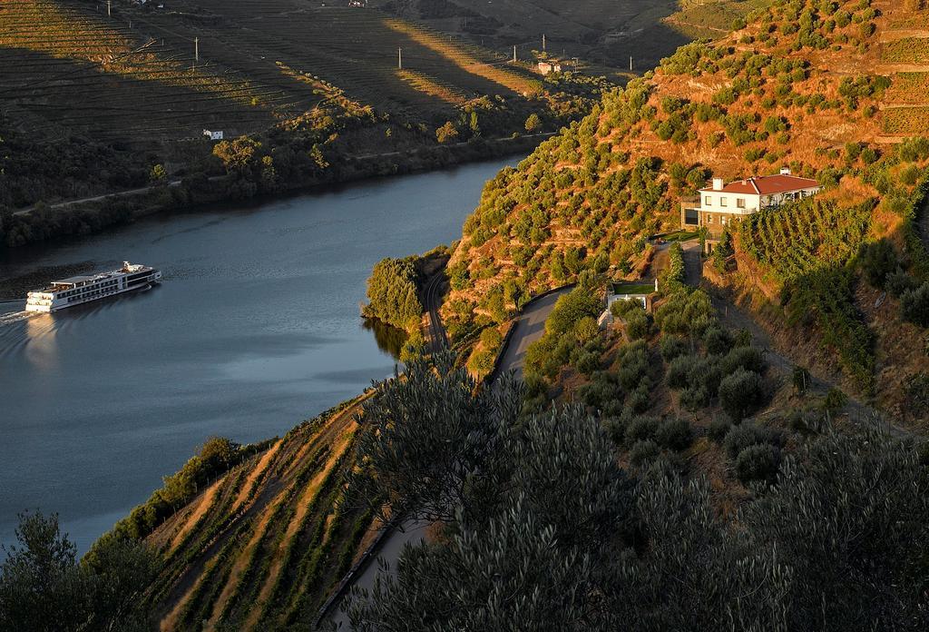 Quinta Da Marka Covas do Douro Zewnętrze zdjęcie